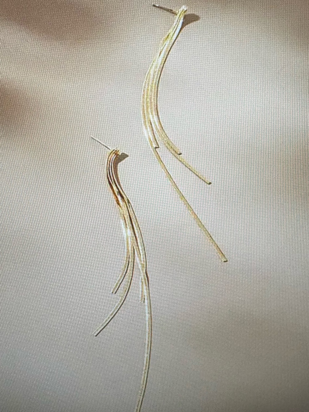 Anthropologie Long Gold Fringe Earrings